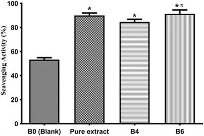 Design and evaluation of sodium alginate-based hydrogel dressings containing Betula utilis extract for cutaneous wound healing